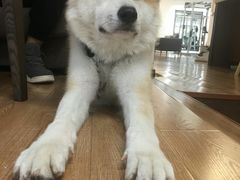 -YCHL Studios健身工作室(市二宫店)