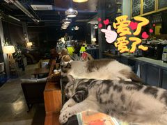 -咖法森林·咖啡  酒吧(天河店)