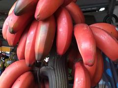 -大湾区中央湿地公园