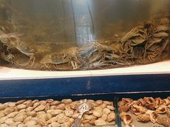 -海天盛宴新派海鲜自助餐厅(群力店)