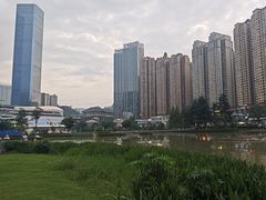 -花果园湿地公园