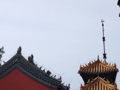 -药王庙(安国市)
