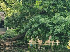 -惠山古镇·寄畅园