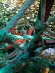 -酷嗒动物文化乐园(cutezoo西溪乐天城店)