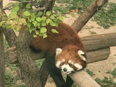 -青藏高原野生动物园