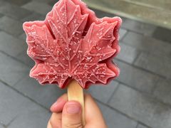 -香山公园