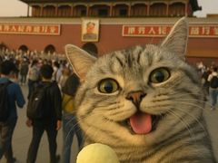 -纳吉亚猫专科动物医院博雅分院