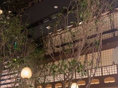 -桂满陇·海市蜃楼·黑金(国金店)