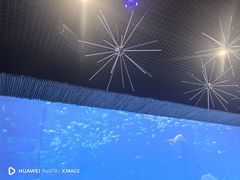 -华夏文旅西安度假区