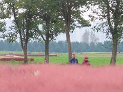 -汉长安城未央宫国家考古遗址公园