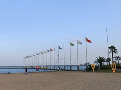 -碧海金沙