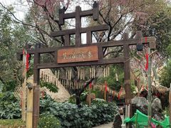 -云南民族村