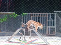 -福州罗源湾海洋世界旅游区