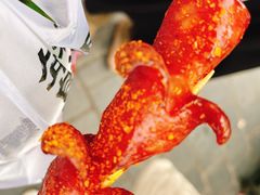 老长沙大香肠-黑色经典臭豆腐·湖南特产(坡子街店)