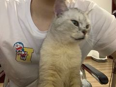-小呆的宠物店·宠物售卖·宠物寄养(城西店)