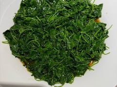 -圆苑(静安寺店)