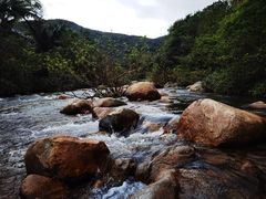 -海南热带雨林国家公园吊罗山景区