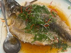 清蒸瓦库鱼-来客家食府 · 福建客家菜
