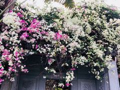 -深圳国际园林花卉博览园