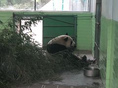 -石家庄市动物园