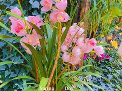 -国家植物园南园