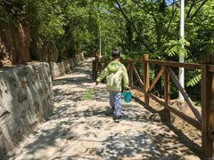 -大岭沟猕猴桃谷风景区
