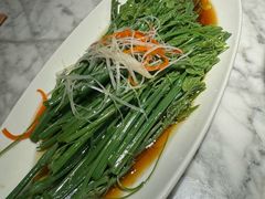 白灼丝瓜尖-懒人盐府人家(航天桥店)