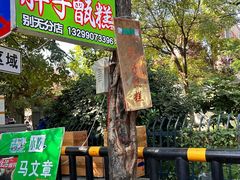-马文章胖子甑糕(洒金桥店)