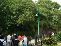 -上海佘山国家森林公园西佘山园