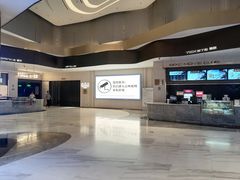 -万象影城(石家庄万象城IMAX激光店)