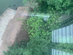 -广州长隆野生动物世界