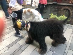 -Luneurs(幸福里店)