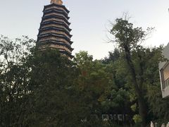 -听松楼·花园酒店·自助餐厅(红梅公园店)