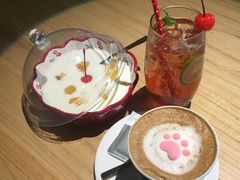 -喵屿·大理花园猫咖
