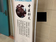 -北京观赏动物医院·24小时大型综合·猫专科·异宠专科