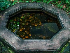 -广州兰圃