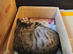 -正阳书局(西四南大街店)