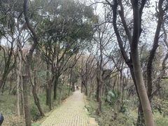 -苏州上方山国家森林公园
