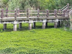 -洪泽湖古堰景区
