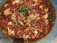 水煮牛蛙八爪鱼-金掌勺·锅包肉(广渠门店)