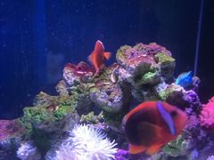 -欢乐海岸海洋奇梦馆