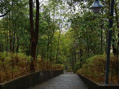 -神光山国家森林公园