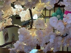 -三月居酒屋(青年大街店)