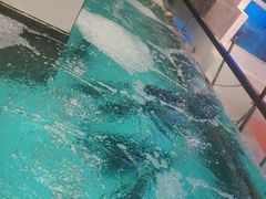 -鱼痴渔醉·食鲜集(月亮湾店)