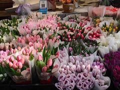 -循礼门鲜花花市(武汉循礼门店)