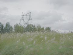 -白鹭湾湿地公园