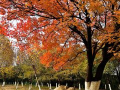 -艾溪湖湿地公园