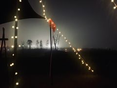 -春花秋色城市公园