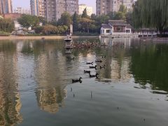 -团结湖公园