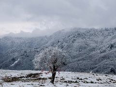 -硗碛藏寨·神木垒景区